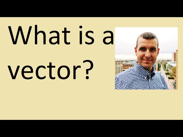 What is a vector?