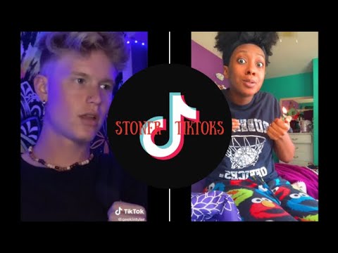 Best of Stoner TIKTOK 2020 | TIKTOK compilation