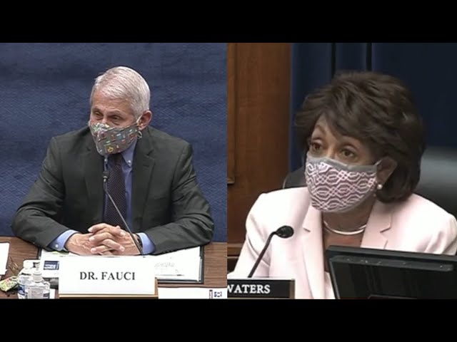 Maxine Waters GUSHES Over Dr. Fauci, Tells Him "I Love You" in Hearing