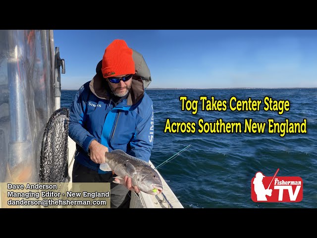 November, 2022  New England Video Fishing Forecast with Dave Anderson