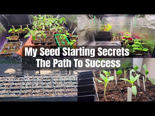 Uncover the Secrets to Grow Veggies Indoors: My Step-by-Step Guide!
