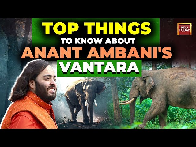 Why Anant Ambani built "Vantara", a 3,000 acre animal rescue and rehab centre?