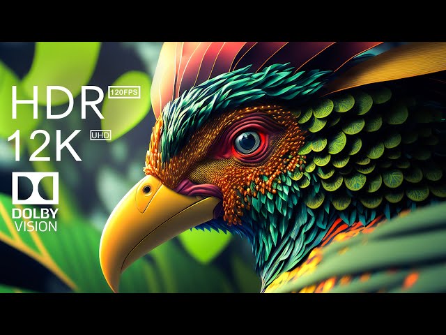 Animal Colorful Life in 12K HDR 120fps Dolby Vision - Cinematic music (dynamic color)