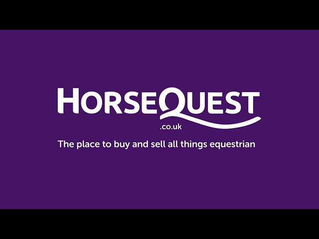 Refine your HorseQuest search
