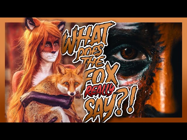 What does the FOX really say?! || #respectnature