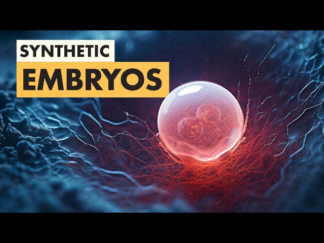 These Human Embryos are Fake… Now What?