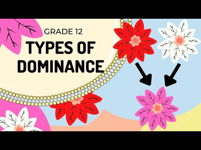 EASY TO UNDERSTAND| Types of Dominance |GENETICS