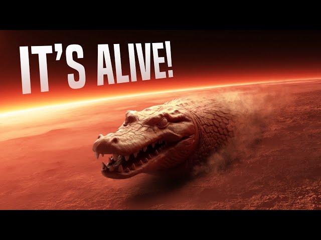 Scientists Believe There Is Life on Mars! Why Is NASA Hiding It?