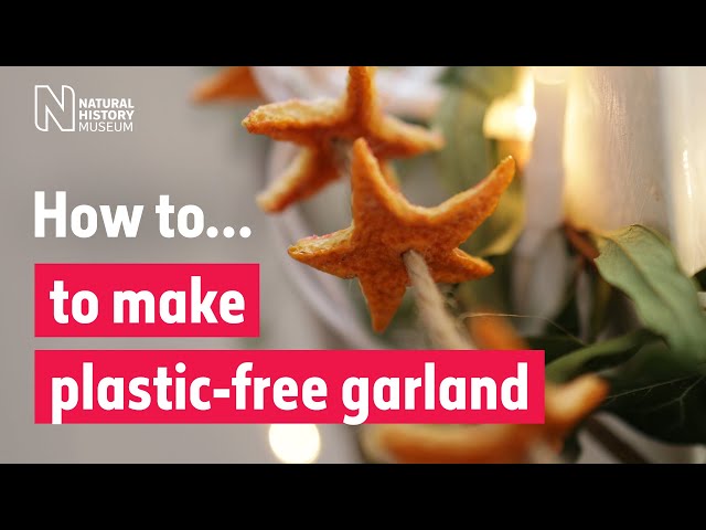 How to make a plastic-free garland | Natural History Museum
