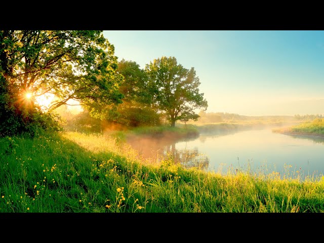 30 Minute Relaxing Music • Instant Stress Relief • Spa Music Relaxation, Yoga Music