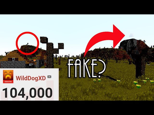 Are My Videos FAKE? (100K Sub Q&A Special)