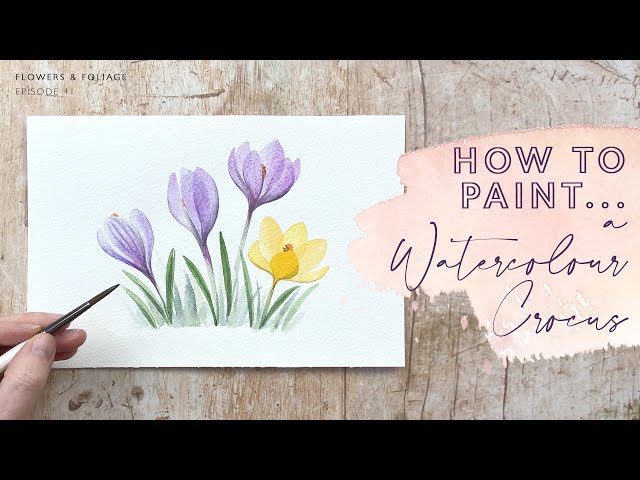 How To Paint A Watercolour Crocus