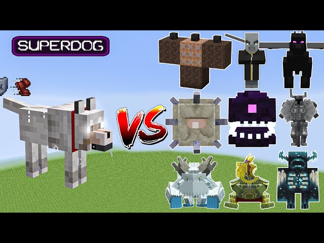 SuperDog vs All Minecraft Bosses,Wither Storm,Warden,Barako,SuperCat,Ferrous - Minecraft Mob Battle
