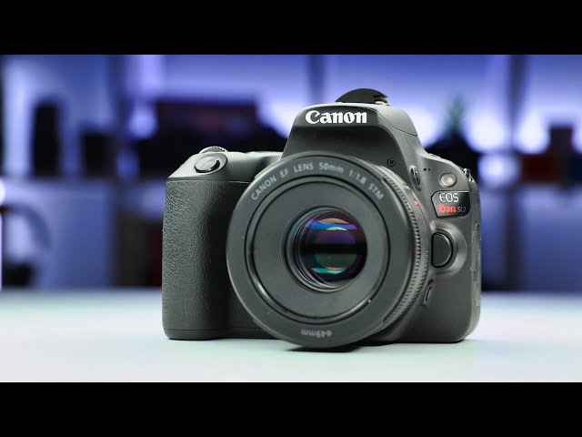 Still a GREAT BUY! | Canon SL2 (200D) in 2020