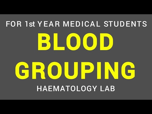 BLOOD GROUPING | HAEMATOLOGY LAB | PHYSIOLOGY
