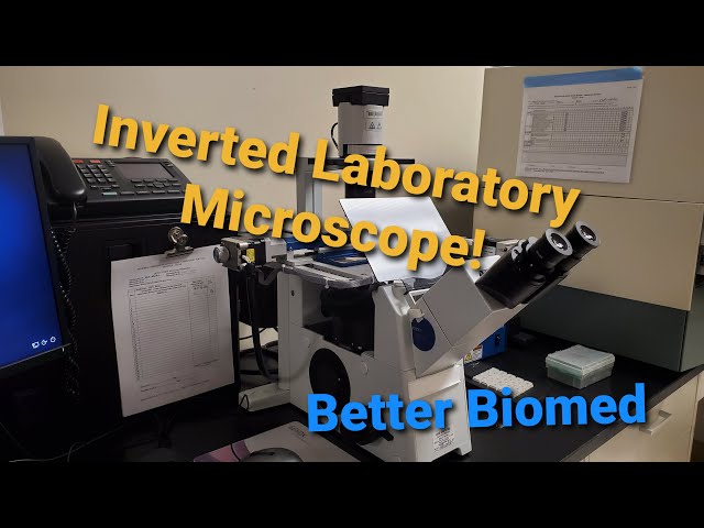 Olympus Inverted Lab Microscope
