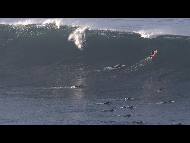 MASSIVE surf pounds San Diego