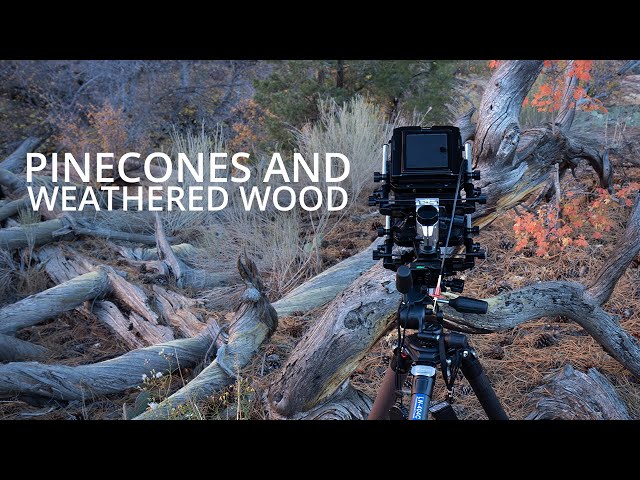 Weathered Wood And Fall Color | Large Format Photography Fall 2021 - Episode 9