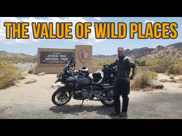 The Value of Wild Places - A Ride Through Joshua Tree NP