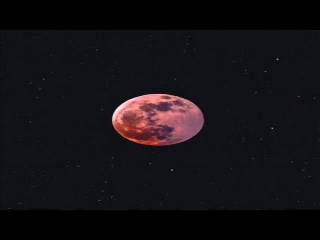 Suduaya  -  Live Set Snow Moon [2019]