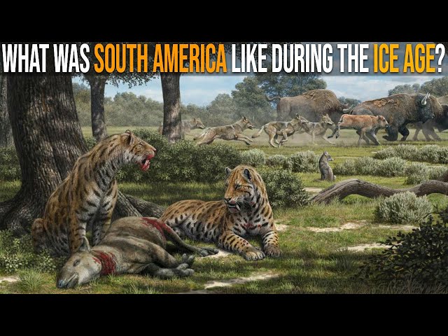 What Was South America Like During The Ice Age?