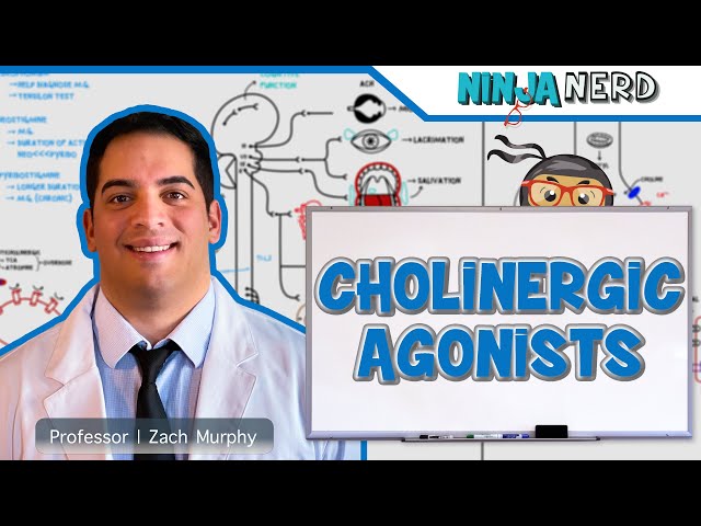 Autonomic Pharmacology | Cholinergic Agonists