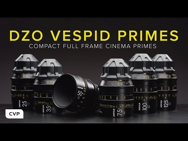 DZOFILM Vespid Prime Series | Review & Test Footage