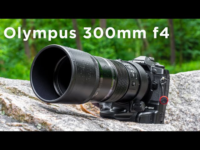Olympus 300mm f4 - LIGHT and SHARP!