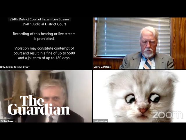 'I’m not a cat': lawyer gets stuck on Zoom kitten filter during court case