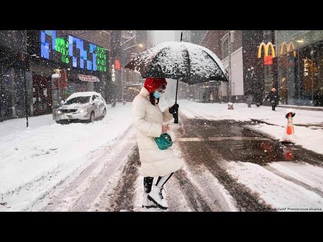 Walking in The Snow During Quarantine In New York city Howling Wind Relaxing Sounds Of Snowfall
