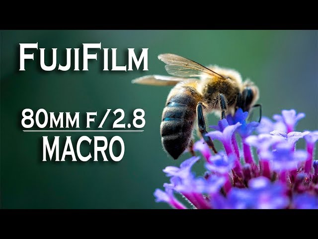 FujiFilm 80mm f2.8 OIS Macro Lens | Comparison Photos and Videos