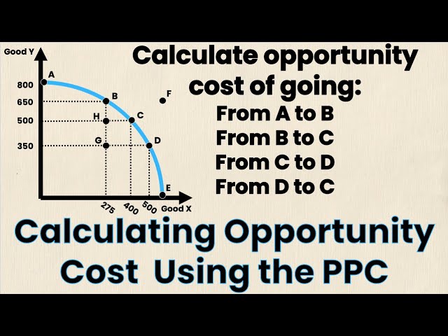 How to Calculate Opportunity Cost Using PPC | Econ Homework | Think Econ