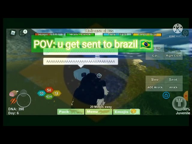 (DS meme) pov: u get sent to brazil