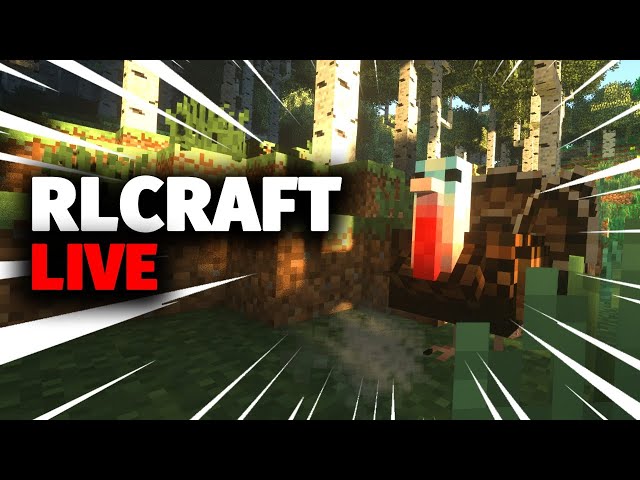 I Will Not Die in RLCraft Okay?