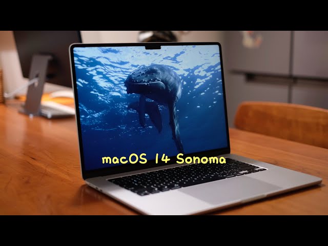 macOS 14 Sonoma预览版来啦！动态壁纸超美