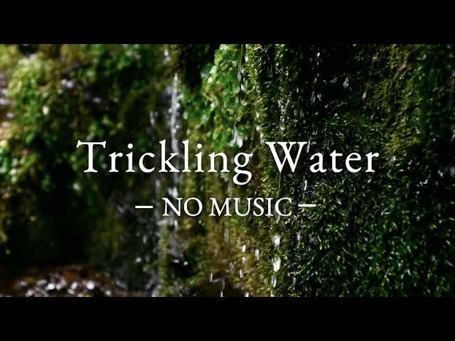 - NO MUSIC - 3 Hours of  Pure Trickling Water Sounds