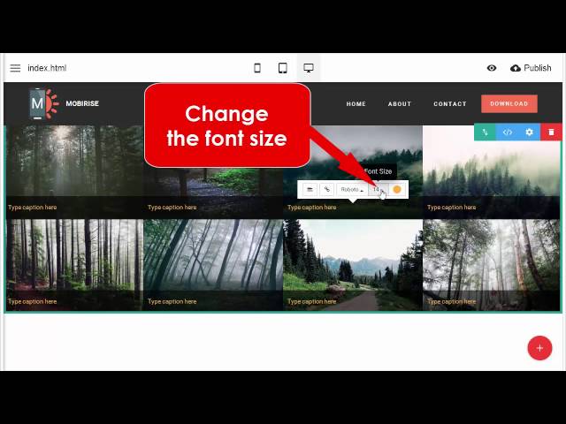How to add text captions to the gallery - Mobirise Mobile Website Builder v2.10