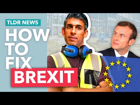 Why Brexit is Broken (and how Sunak could fix it)