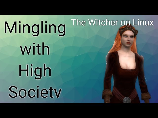 Switching girlfriends and making friends - The Witcher on Linux - part 12