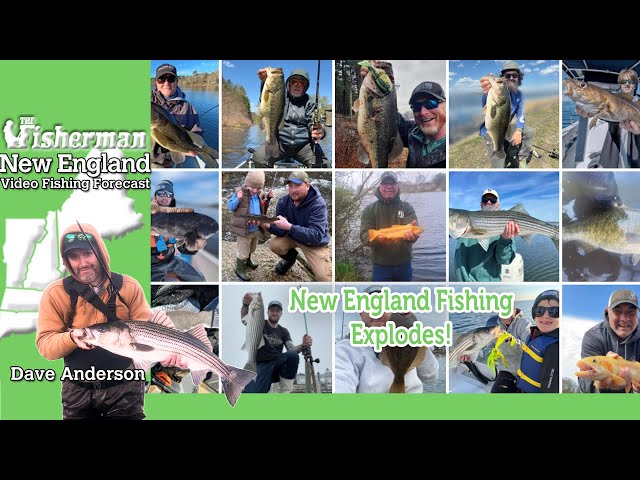 April 18th 2024 New England Video Fishing Forecast with Dave Anderson