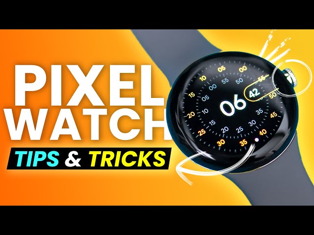 Google Pixel Watch - First 15 Things to do! ( Tips & Tricks )