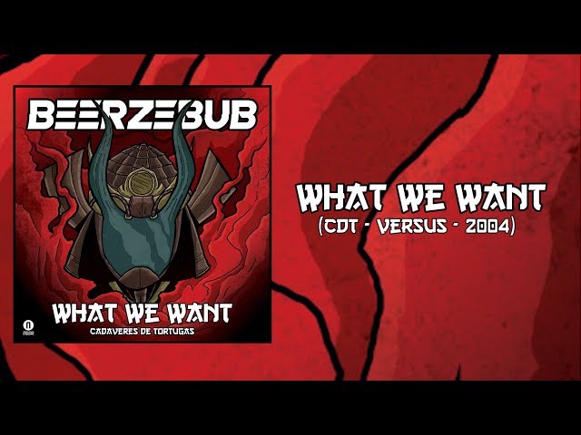BEERZEBUB - WHAT WE WANT (CDT cover)