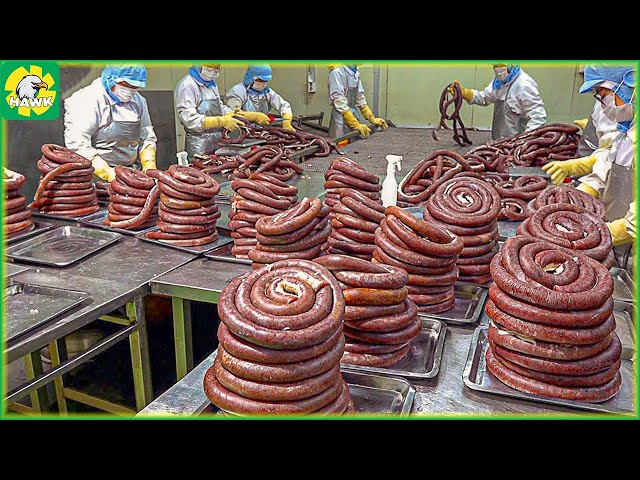 How To Mass Produce Blood Sausage | Processing Factory