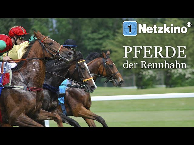 Pferde der Rennbahn (Pferdefilm auf Deutsch kostenlos anschauen, Familienfilm in voller Länge)