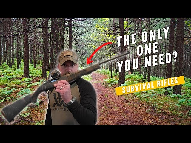 Top SHTF Survival Rifle