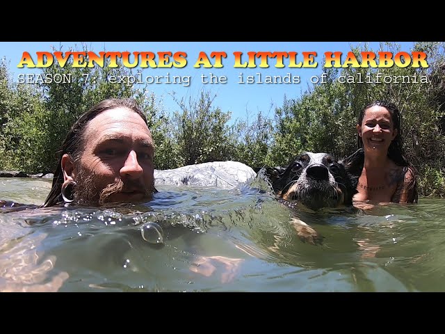 Skinny Dipping at a Secret Waterfall and Grotto on Catalina Island