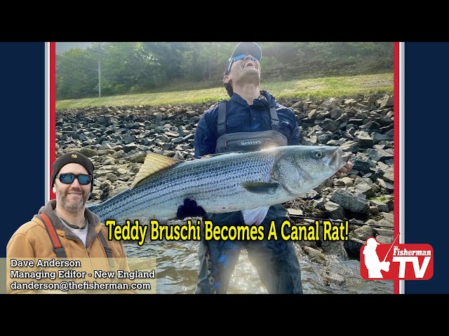 June 1, 2023  New England Video Fishing Forecast with Dave Anderson