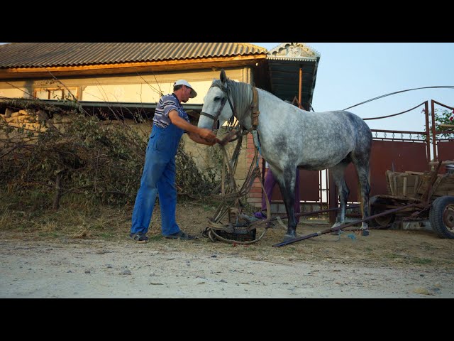 Life in a small village in Eastern Europe | A beautiful country between Ukraine and Romania