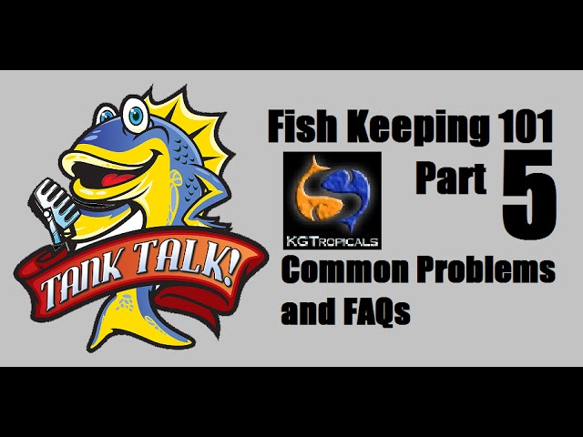 Fish Keeping 101 Part 5 "Common Problems and FAQs" Tank Talk Presented by KGTropicals