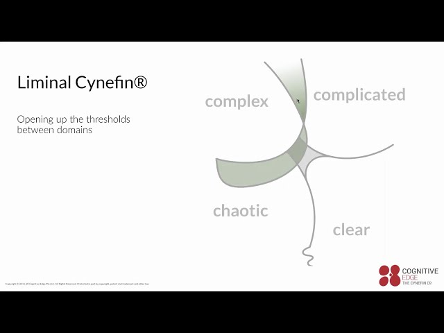 Liminal and Dynamics Cynefin Framework Practise: Recording - By Donna